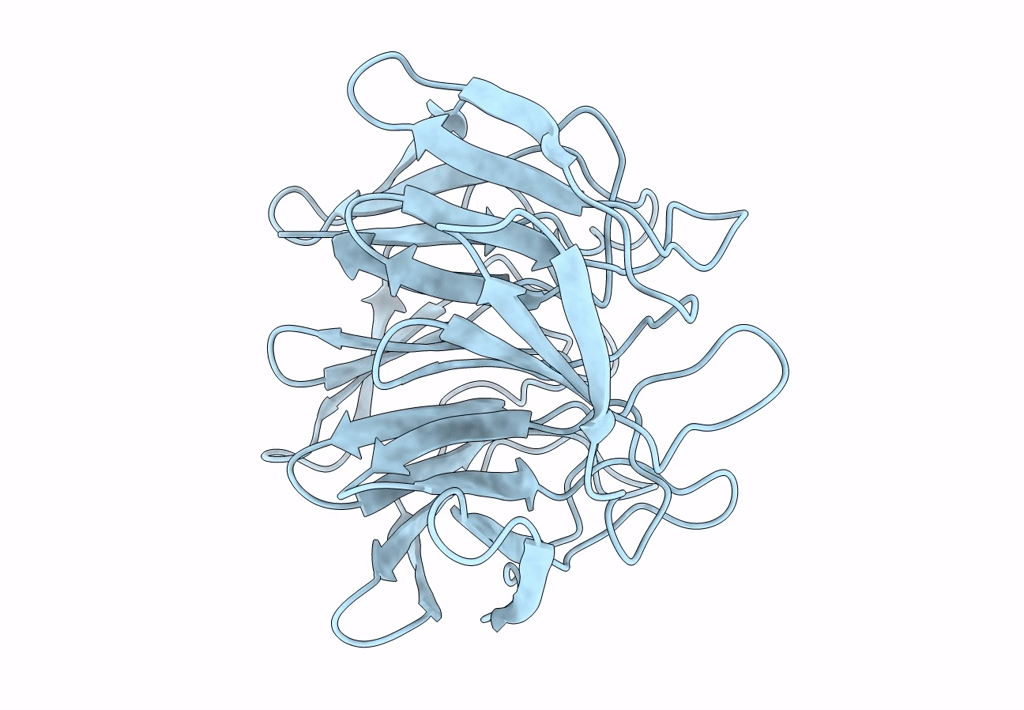 7ONC image