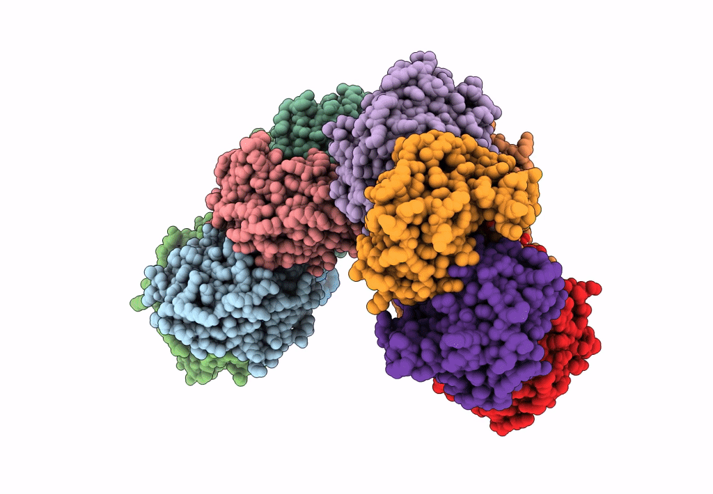 7OPA image