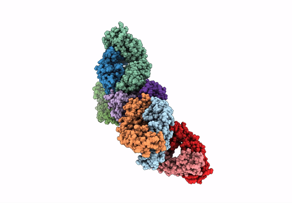 7OX2 image