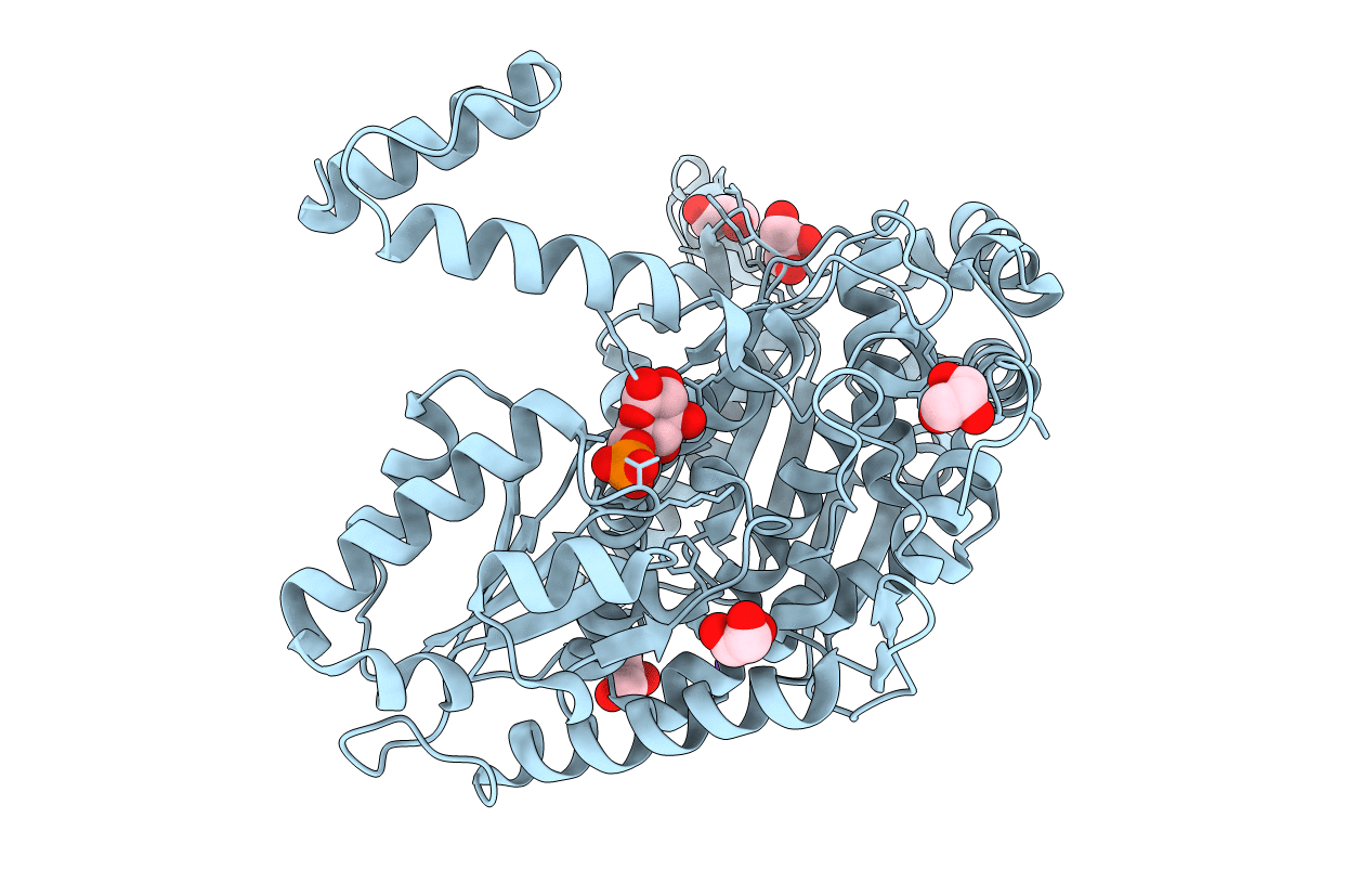 7OYL image