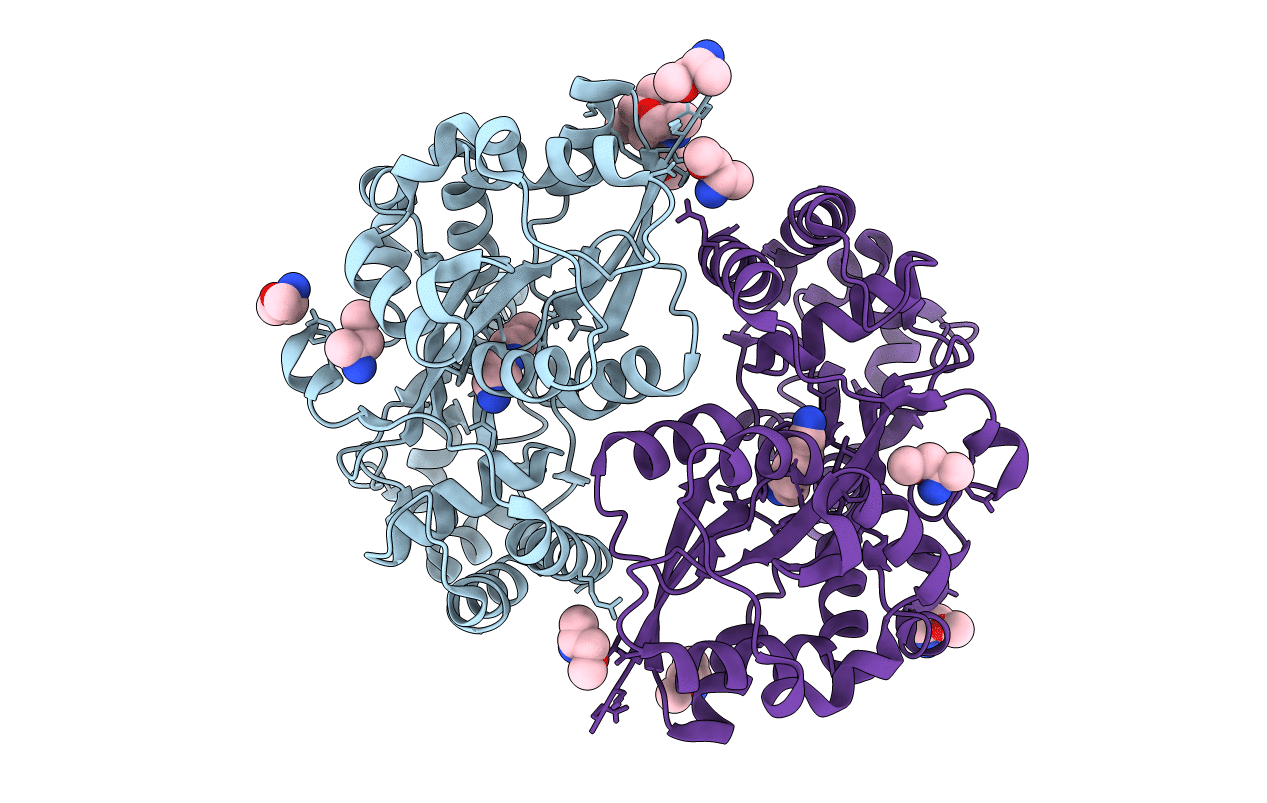 7OYV image