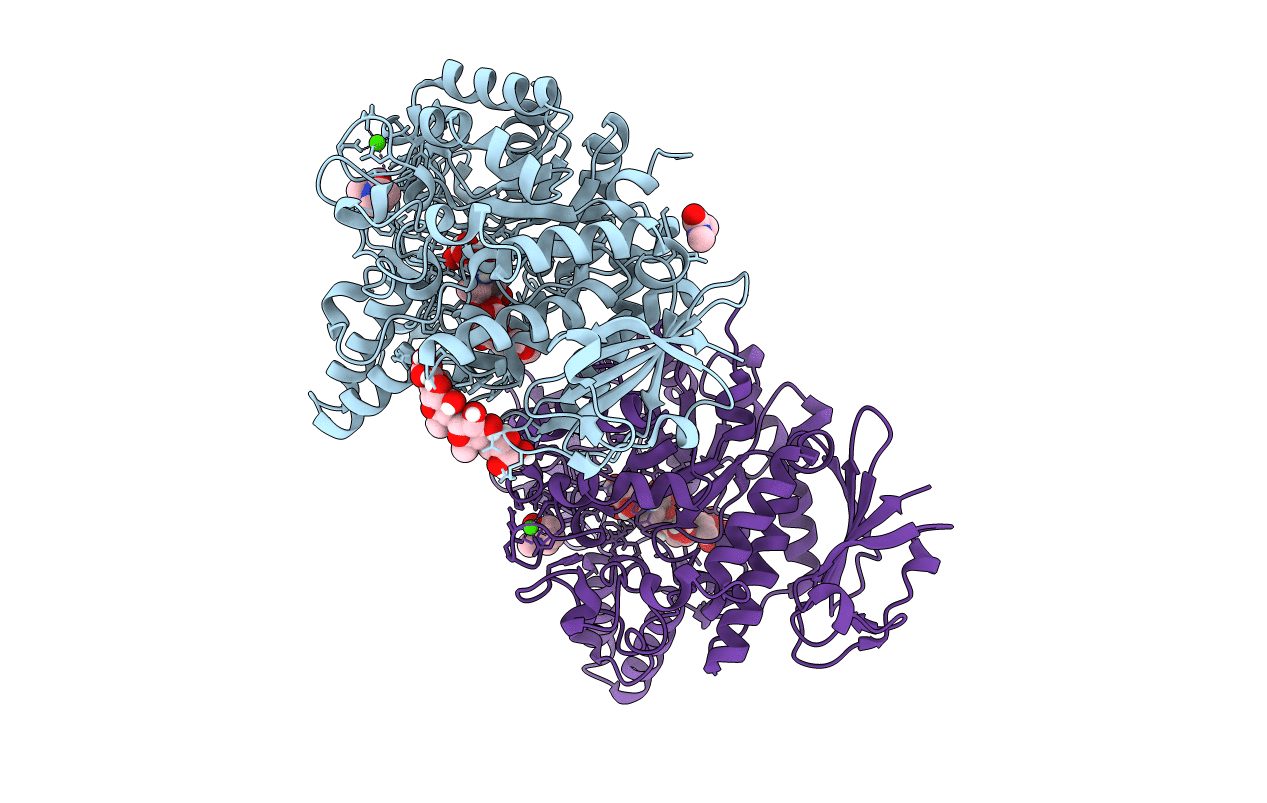 7P01 image