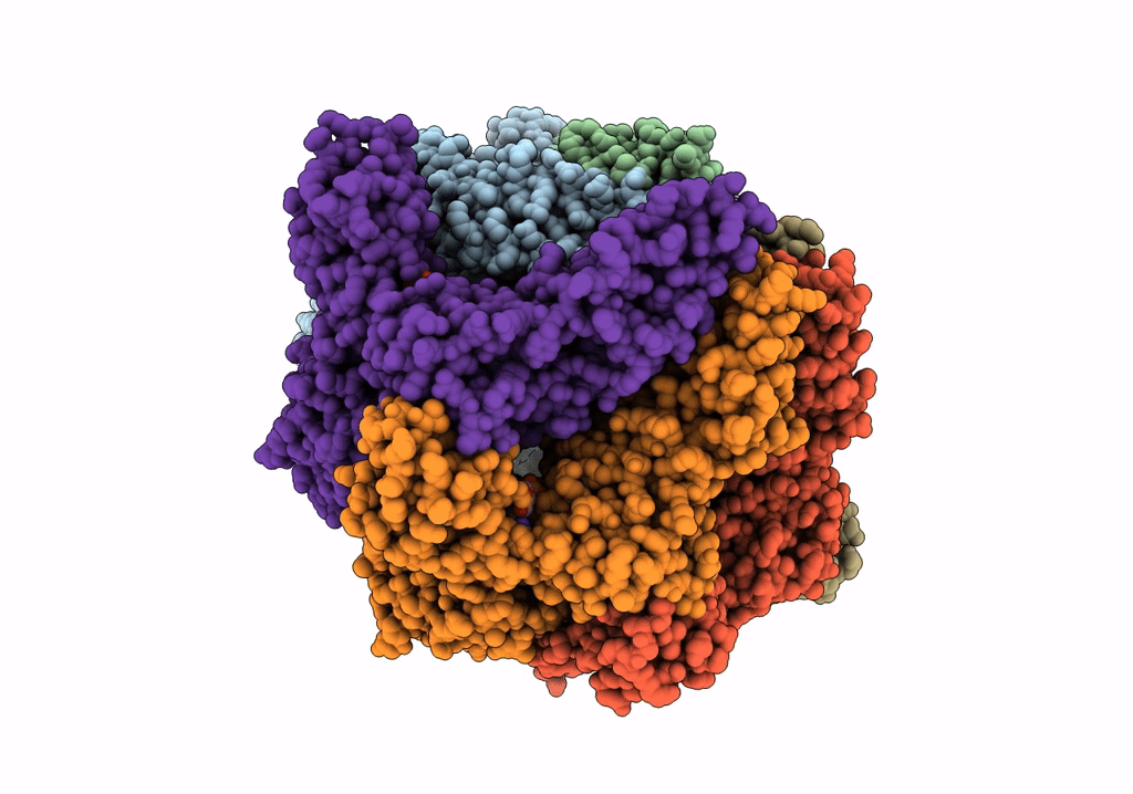 7P0B image