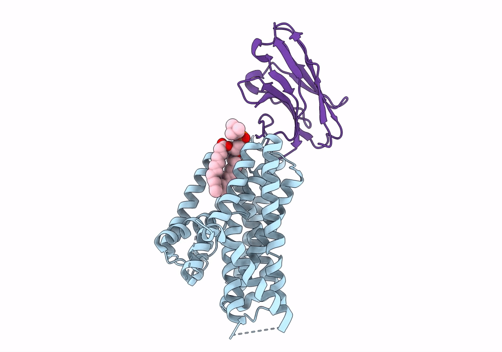 7P16 image