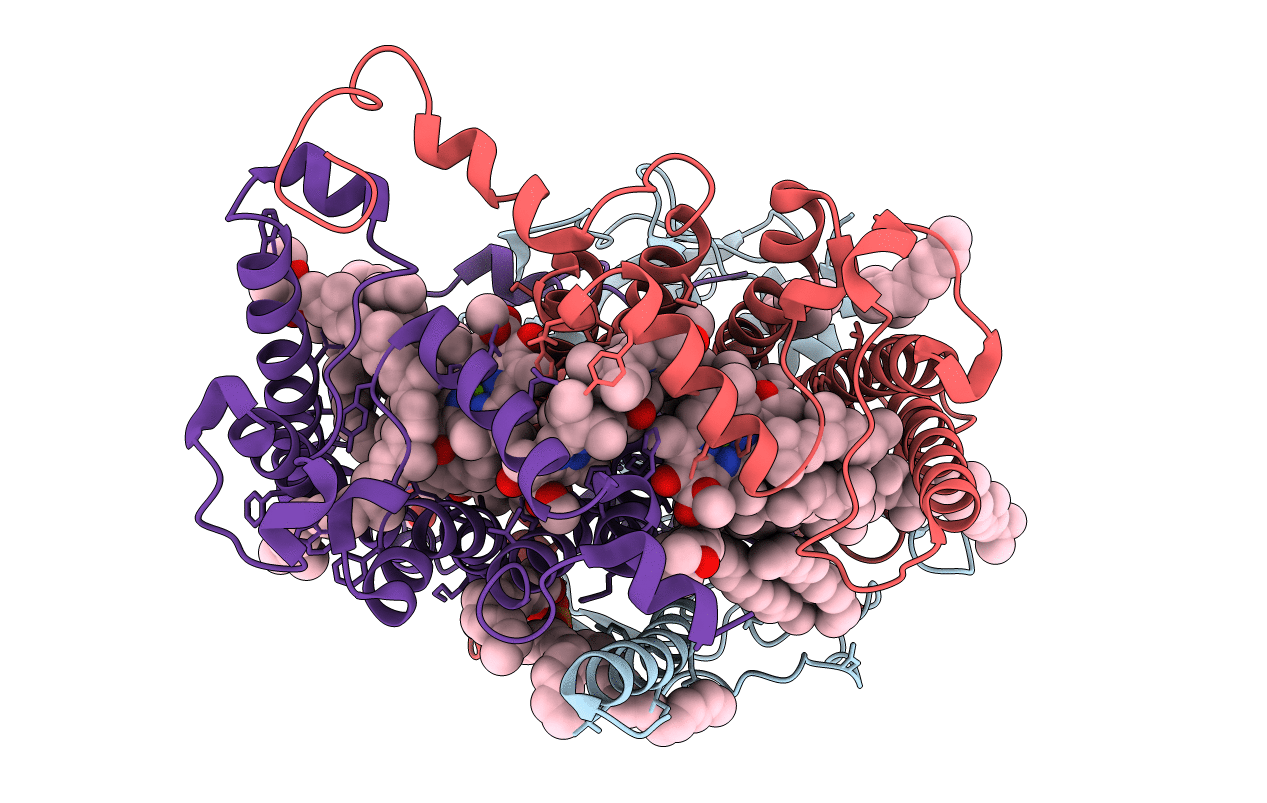 7P17 image