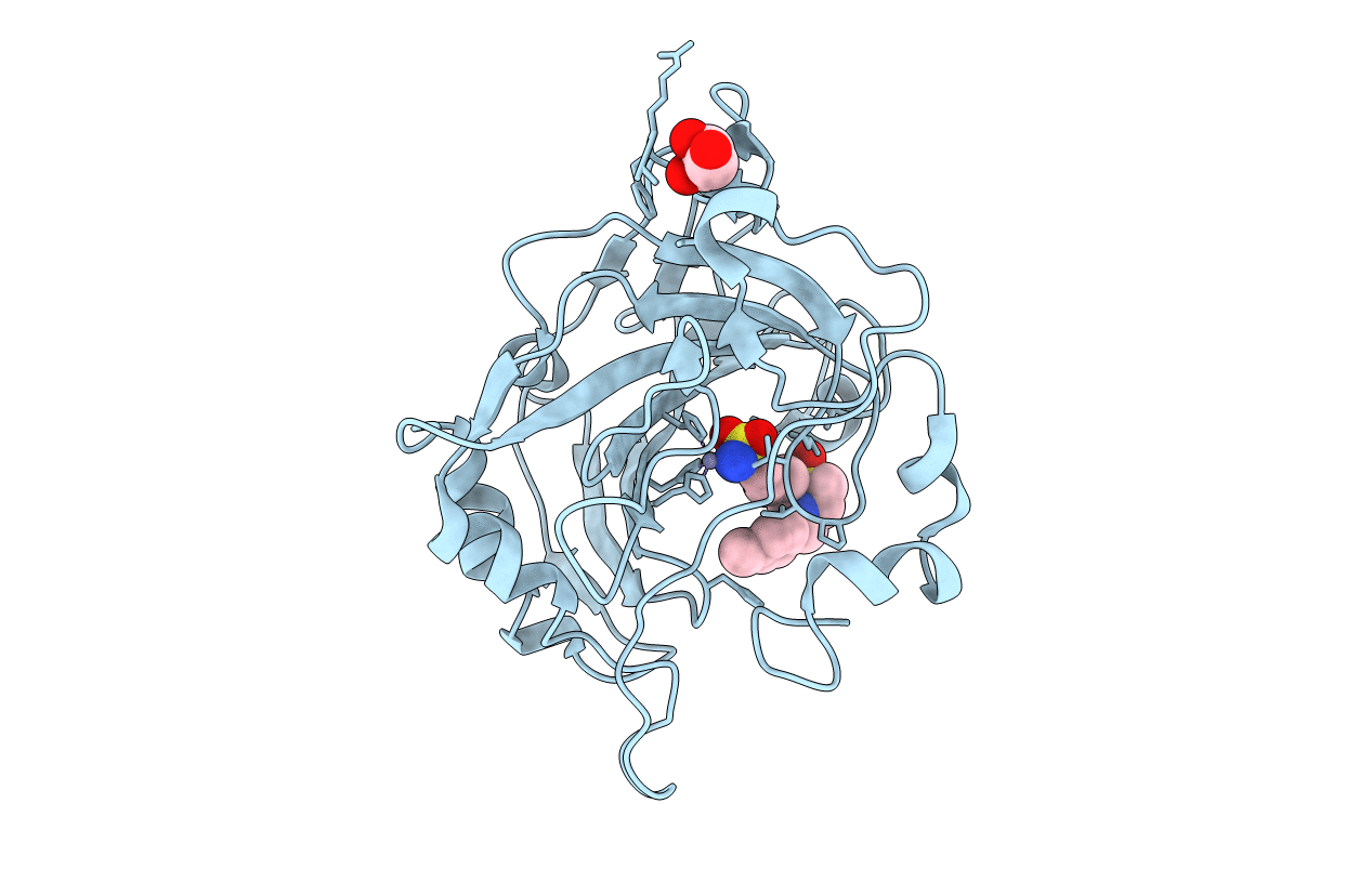 7P1A image
