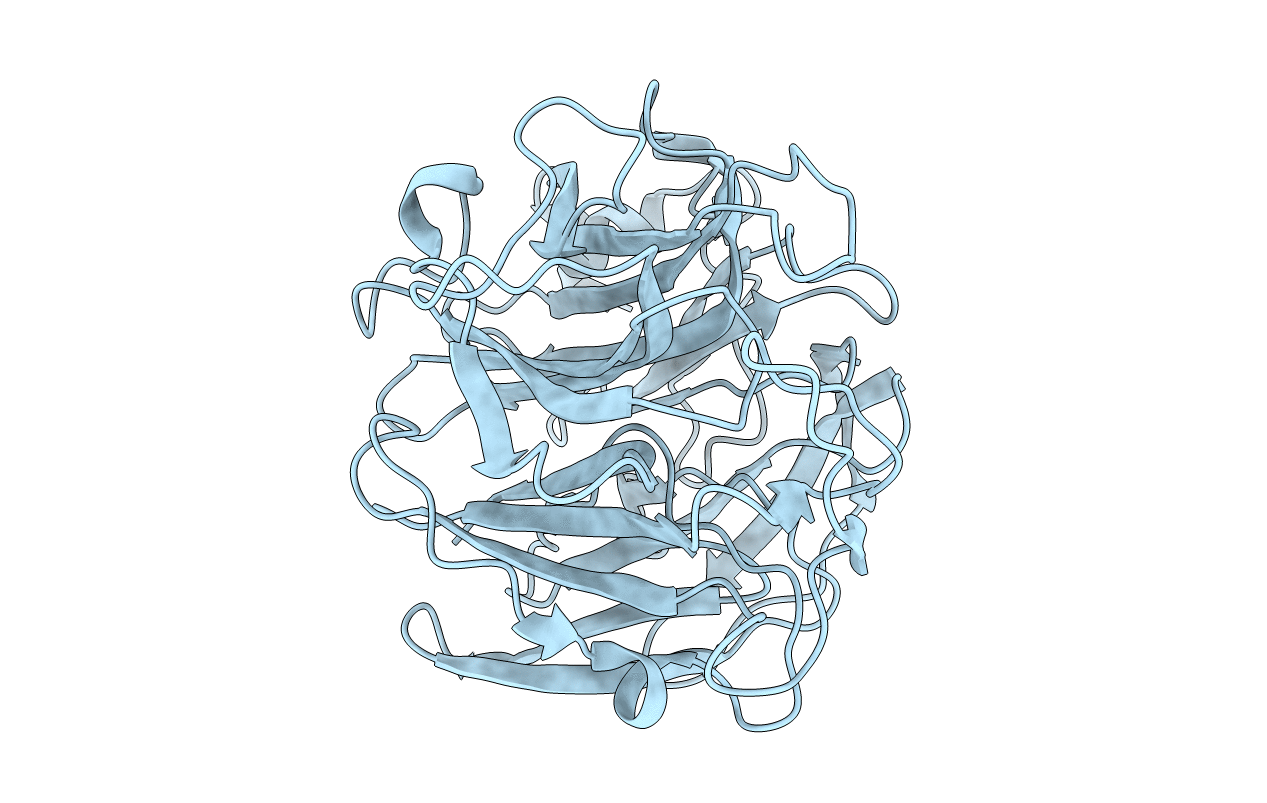 7P1B image