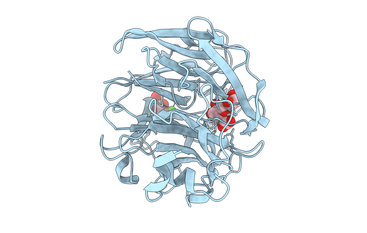 7P1D image