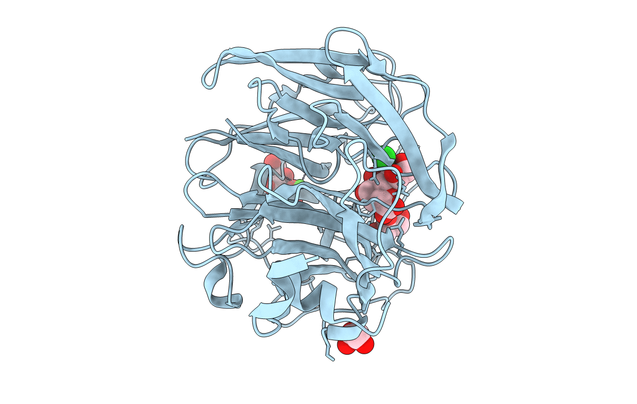 7P1E image
