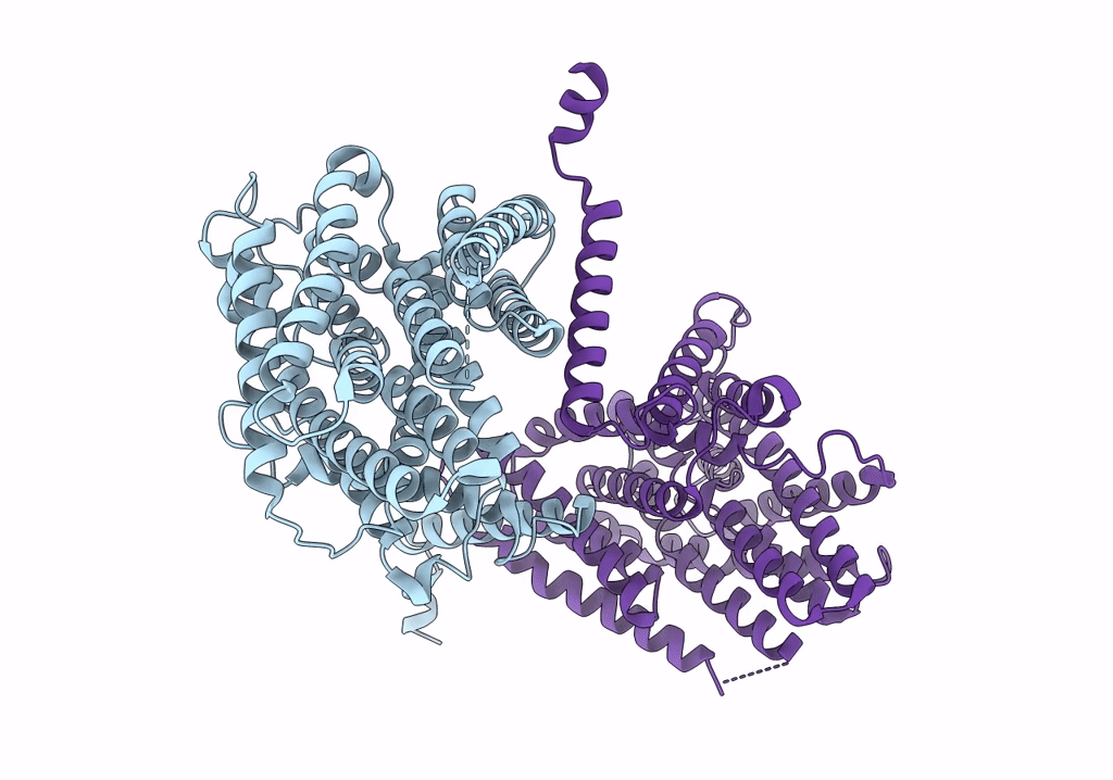 7P1I image