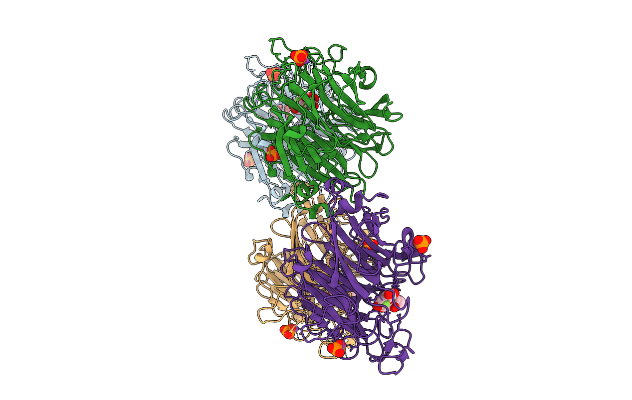 7P1R image