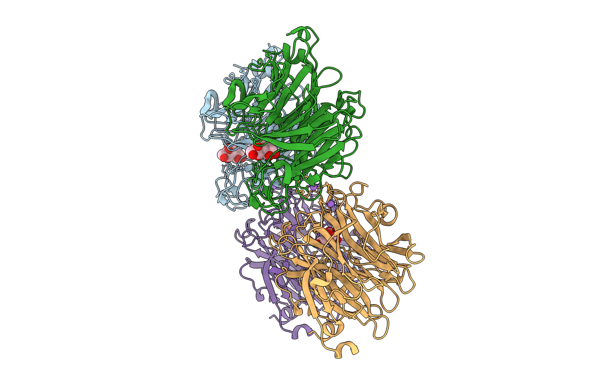7P1S image