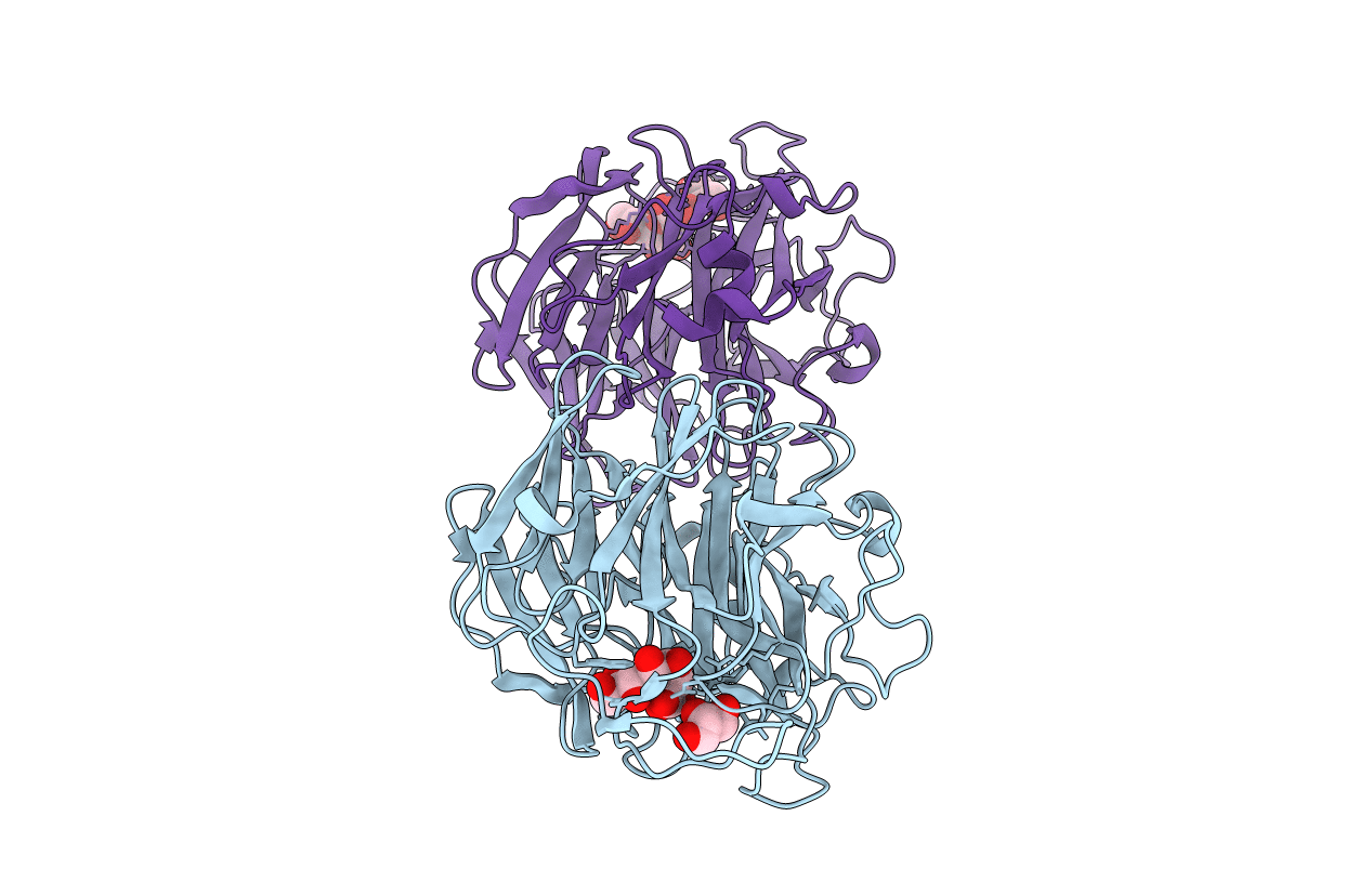 7P1U image