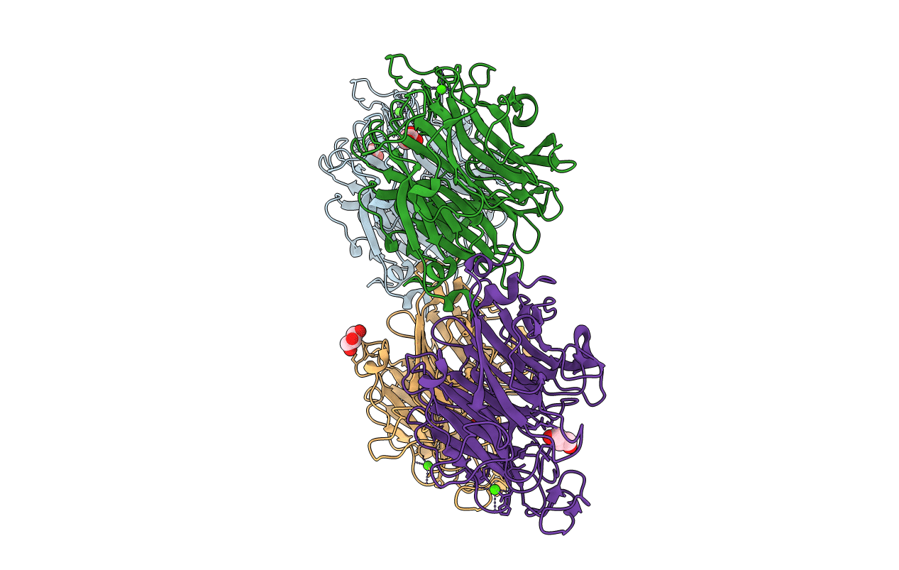 7P1V image