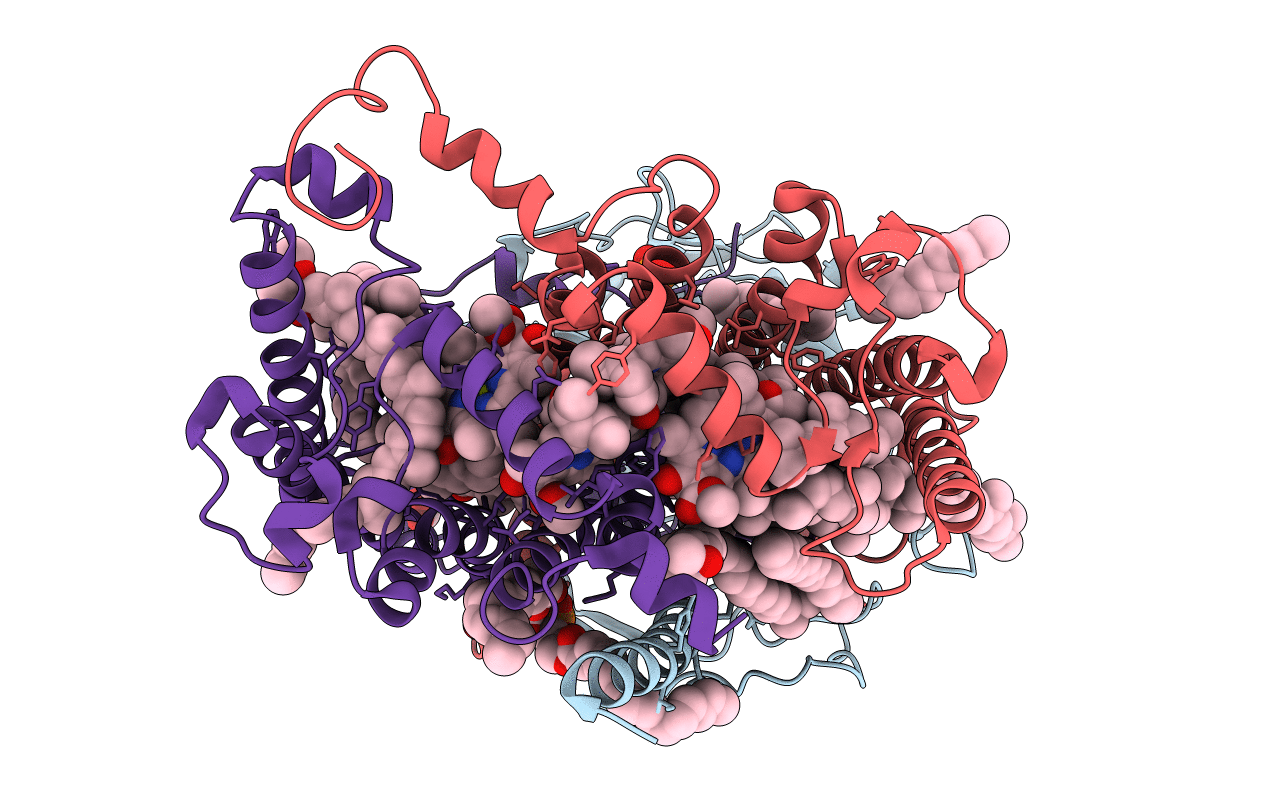 7P2C image