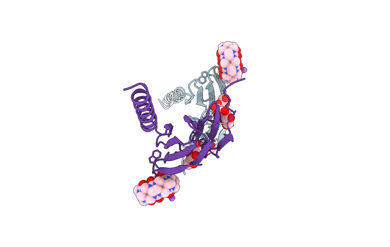 7P2J image