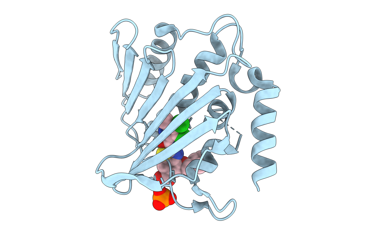 7P2M image