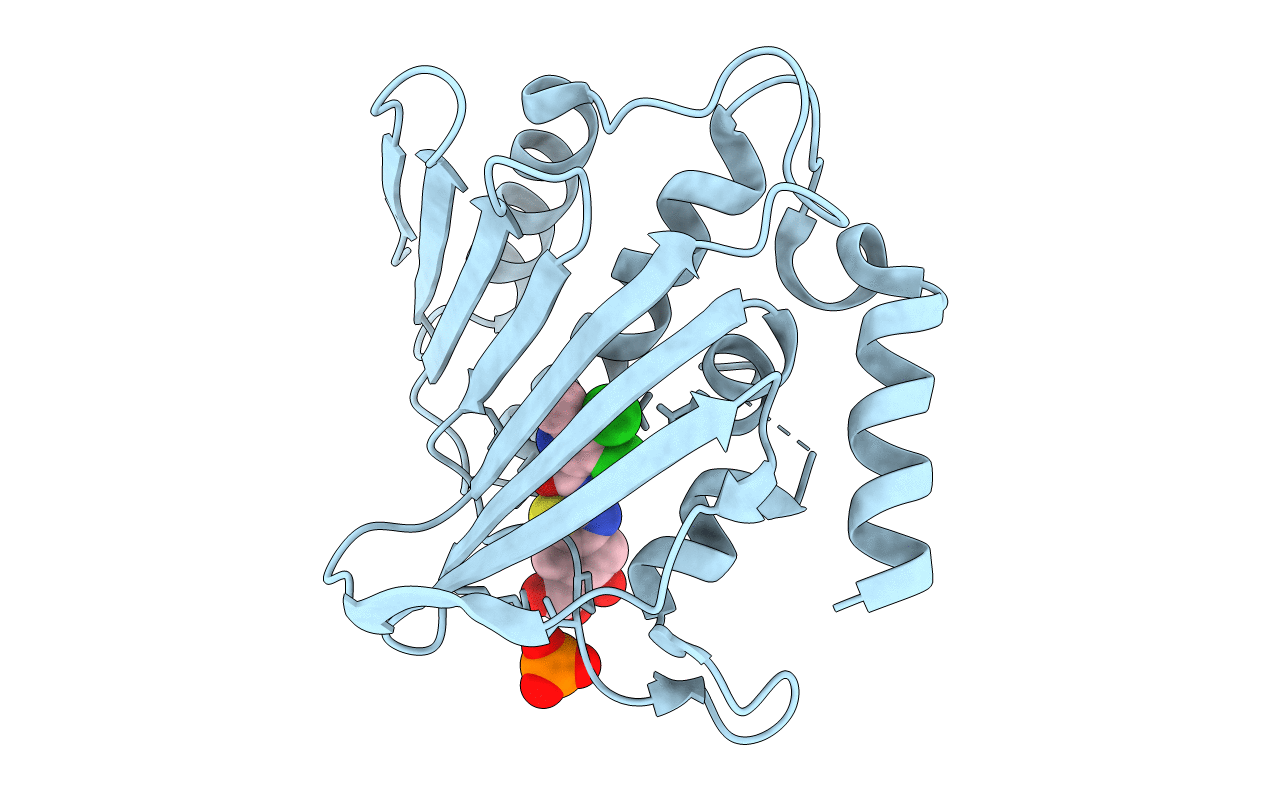 7P2N image