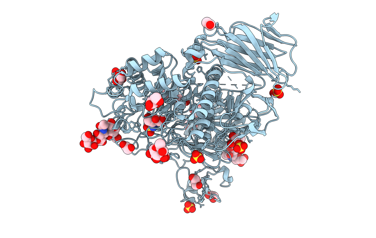 7P32 image