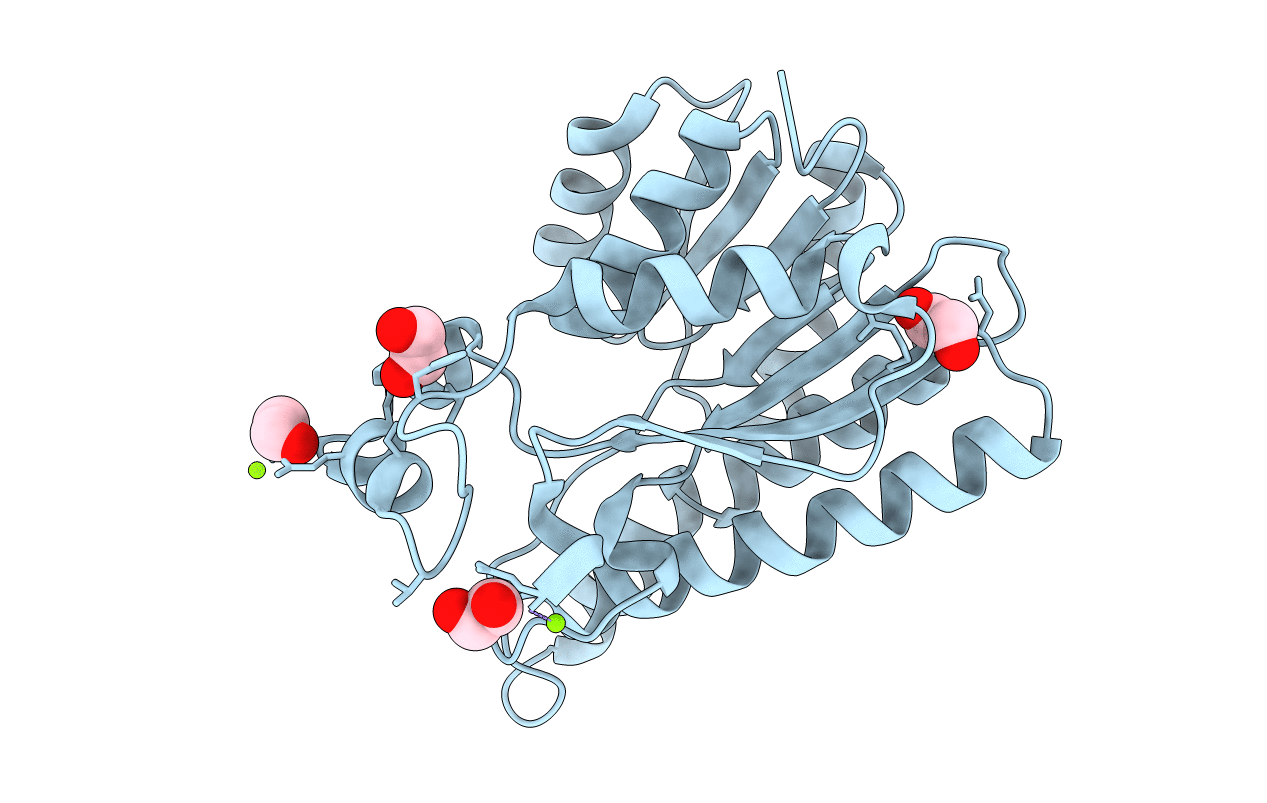 7P36 image