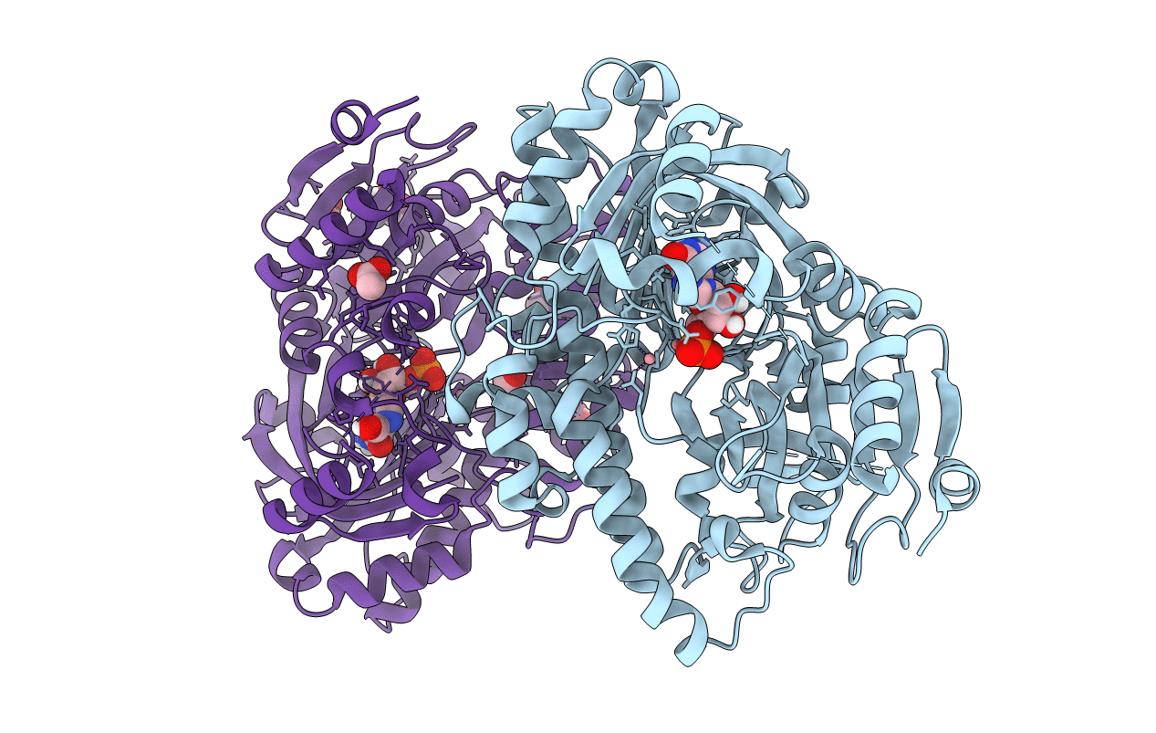 7P3B image