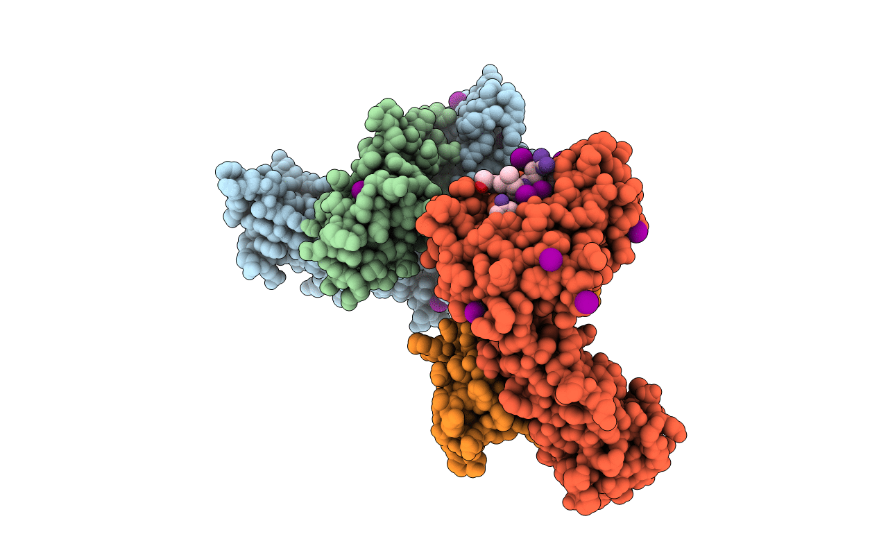 7P3E image
