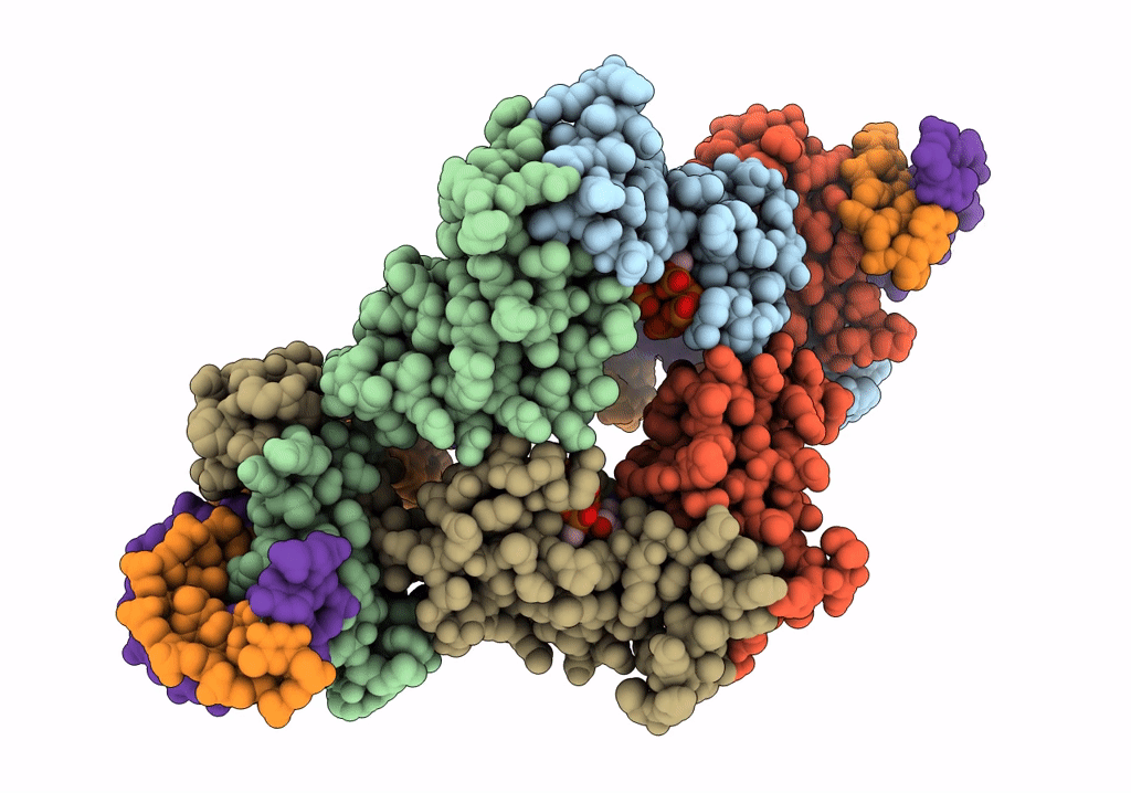 7P3F image