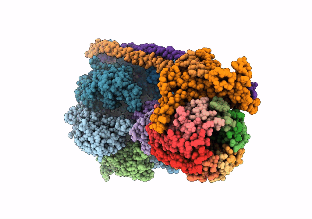 7P3N image