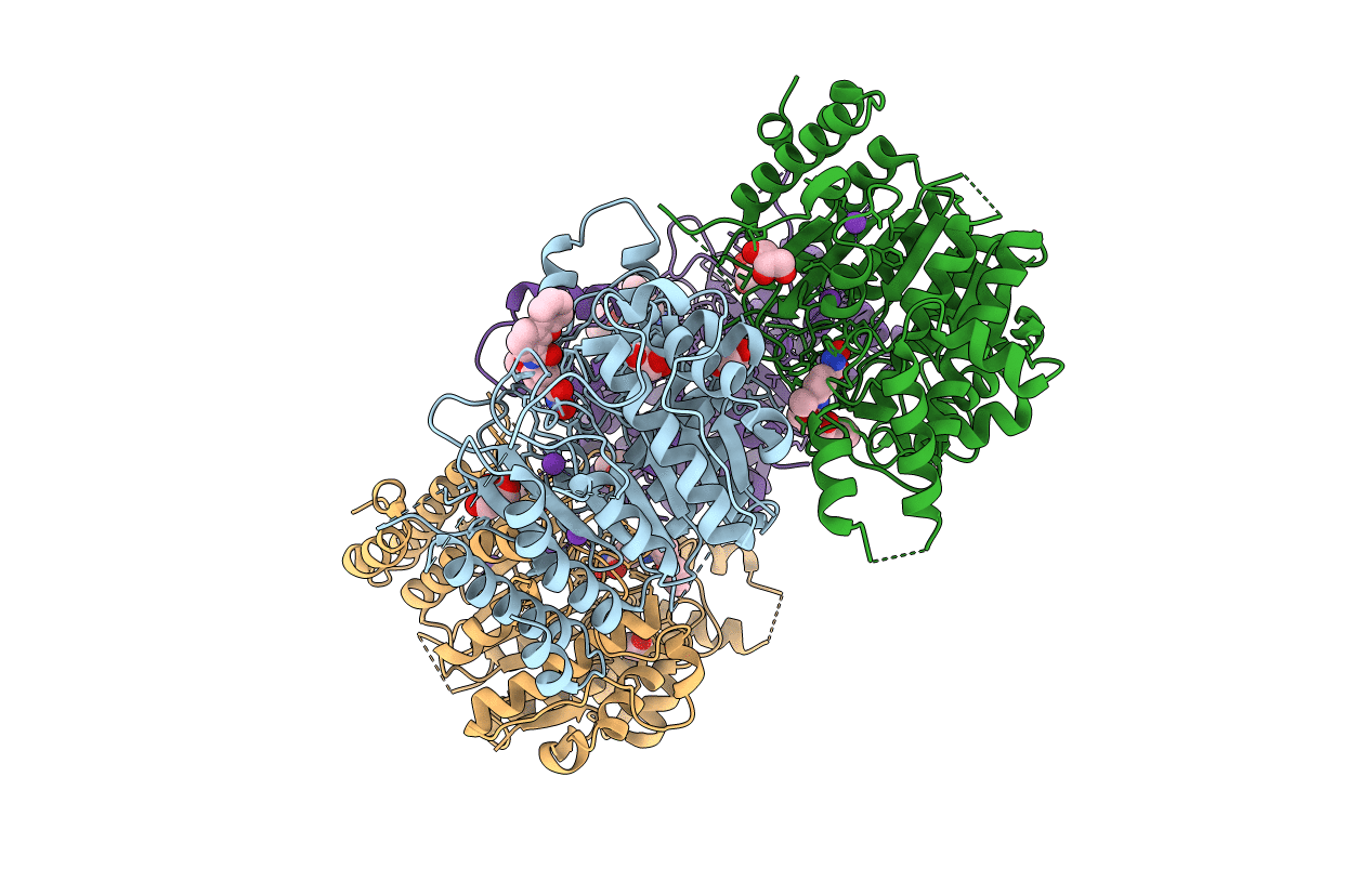 7P3S image