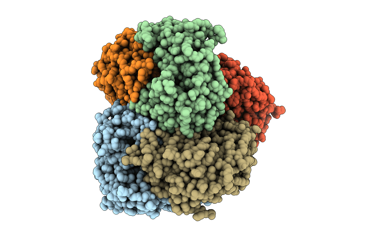 7P3T image
