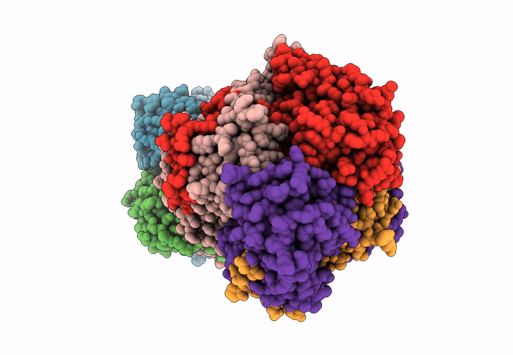 7P46 image
