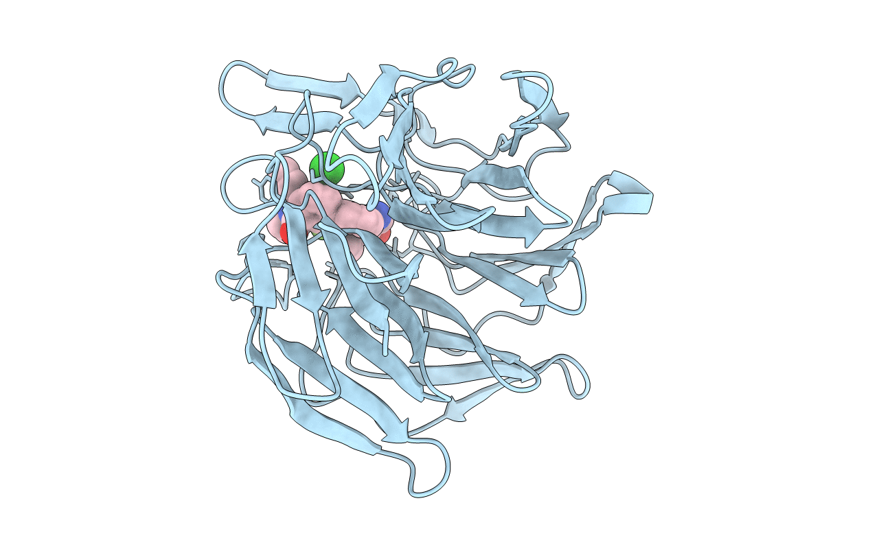 7P5K image