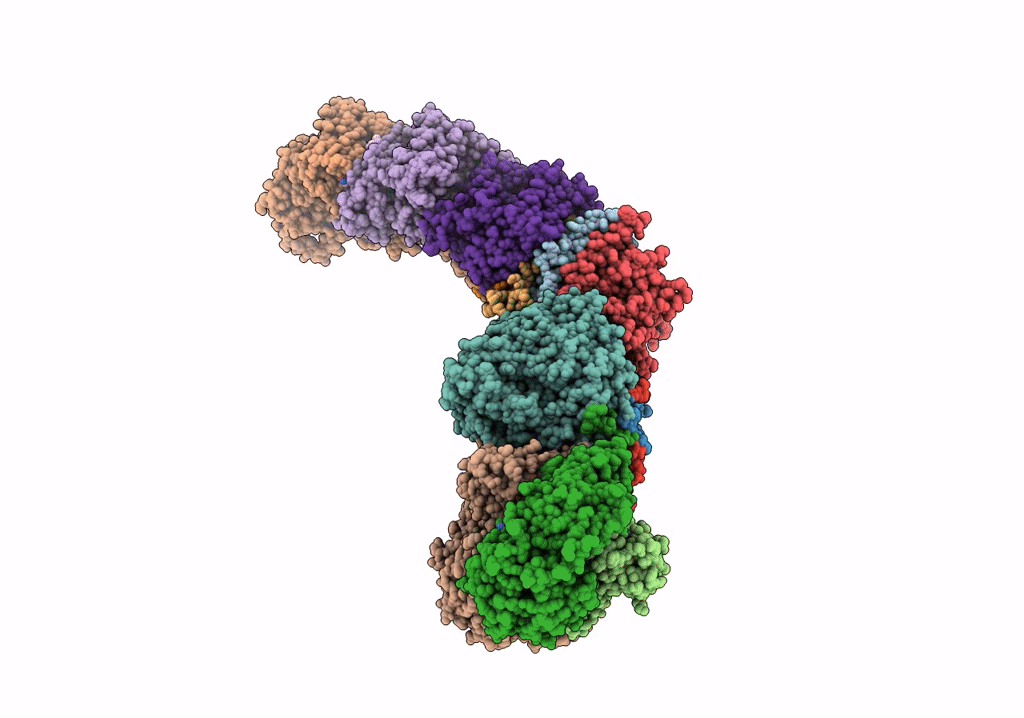 7P61 image