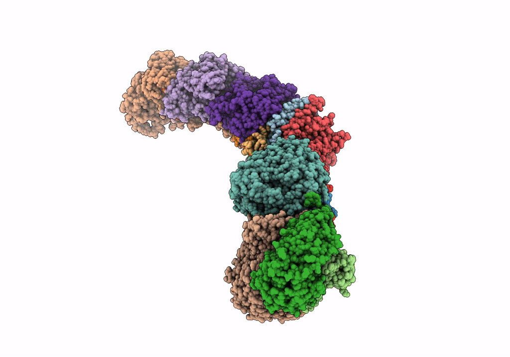 7P62 image