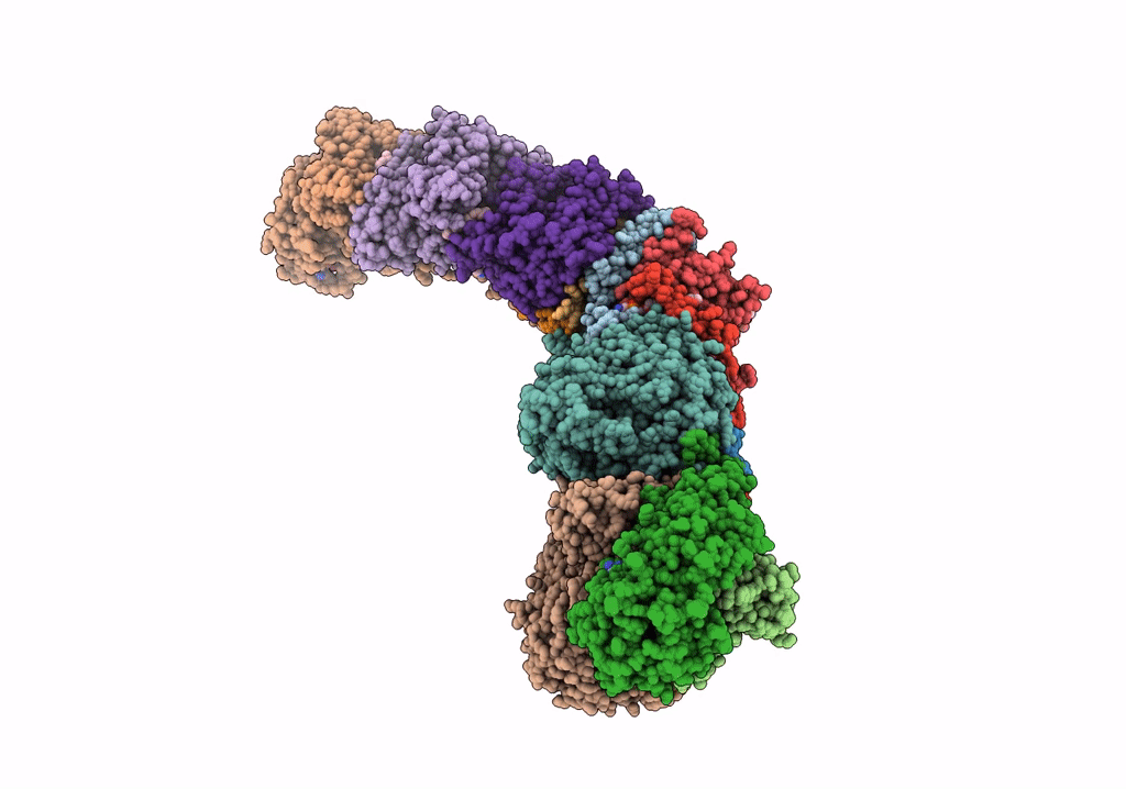 7P63 image