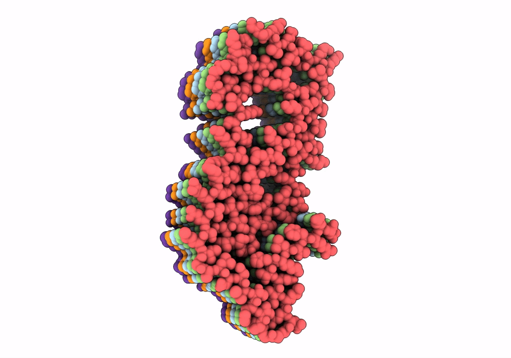 7P65 image