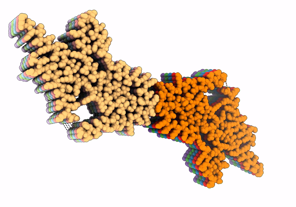7P6E image