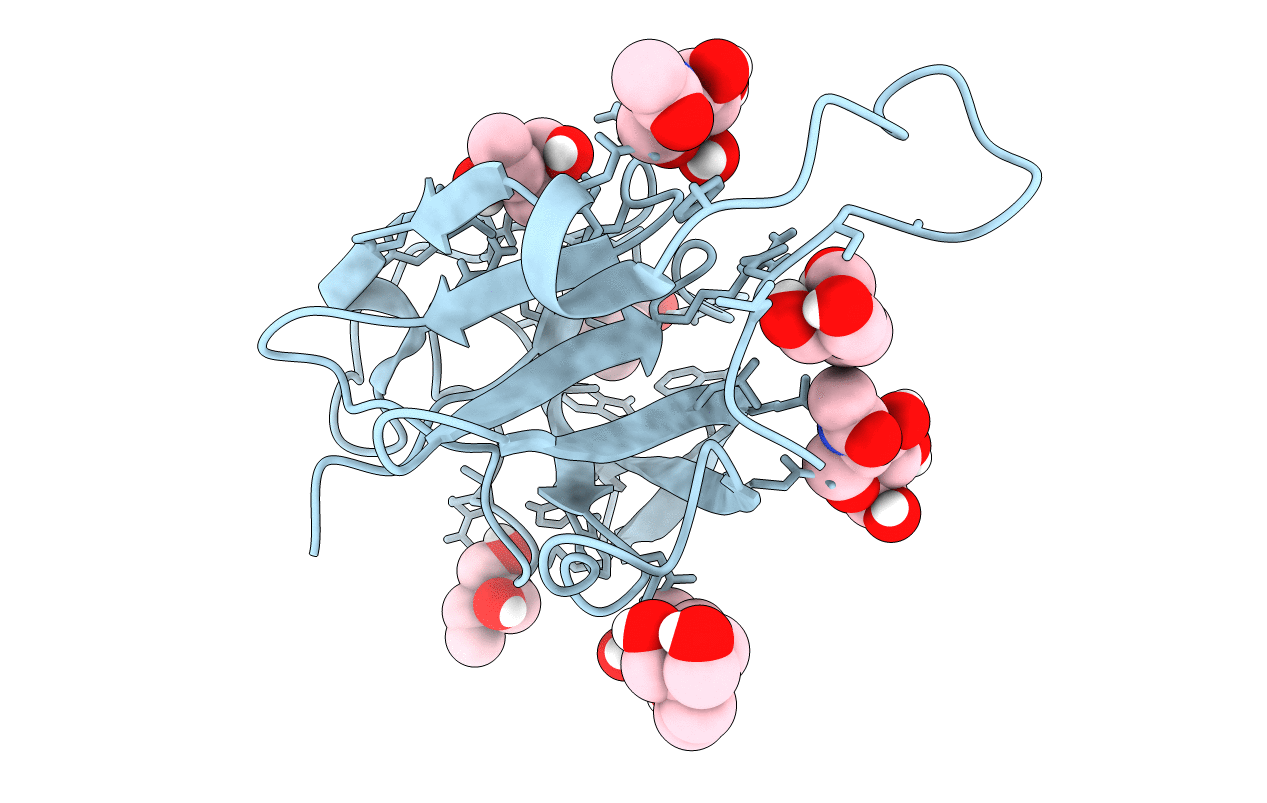 7P6T image