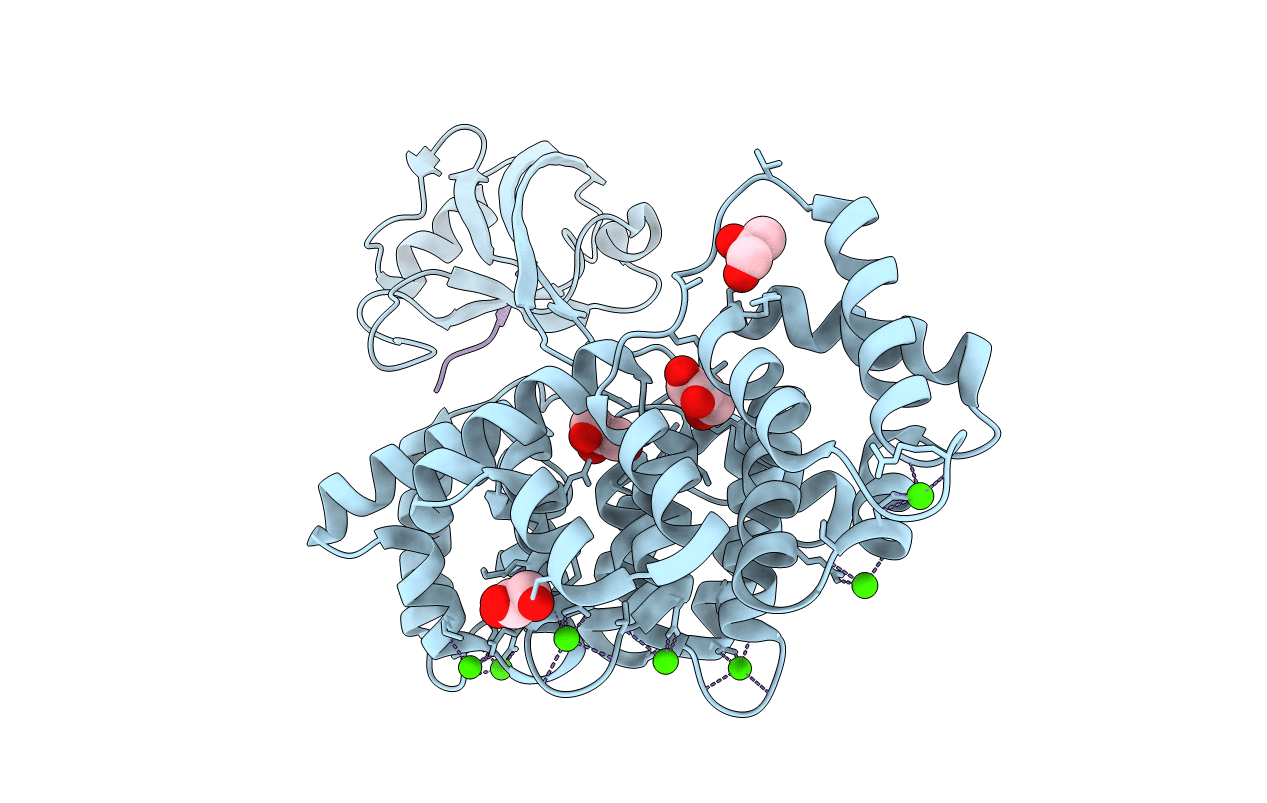 7P73 image