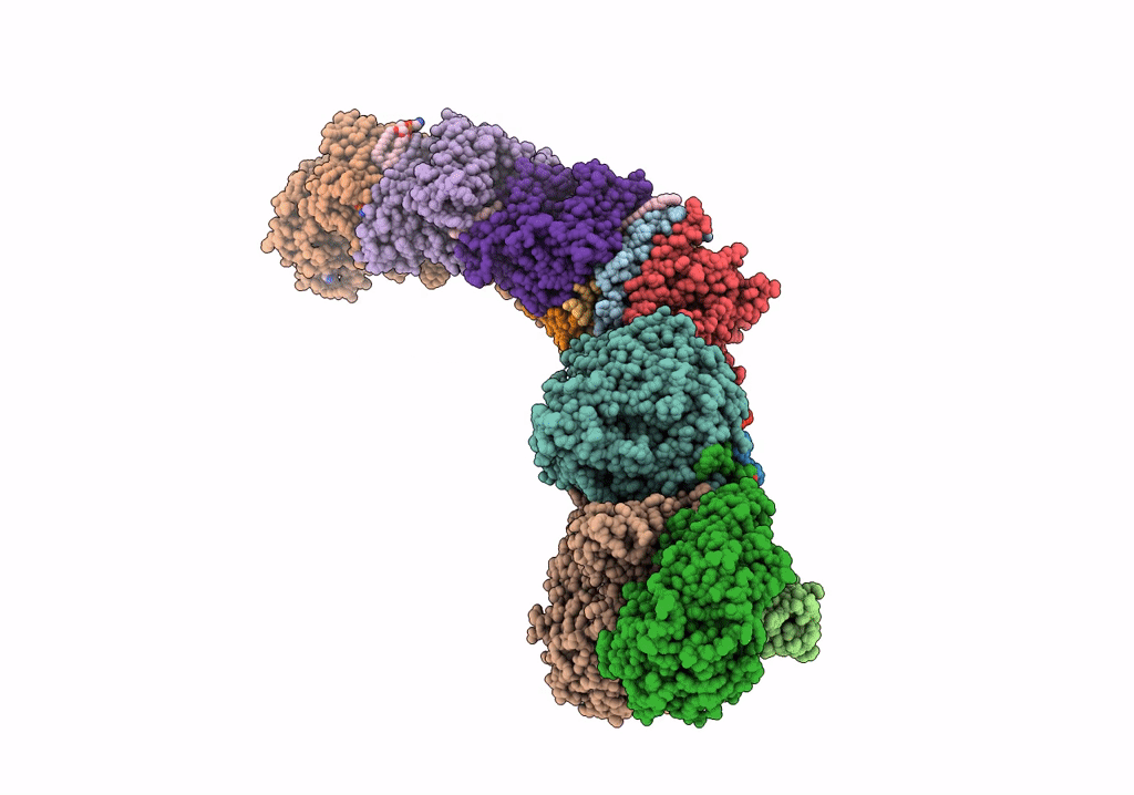 7P7E image
