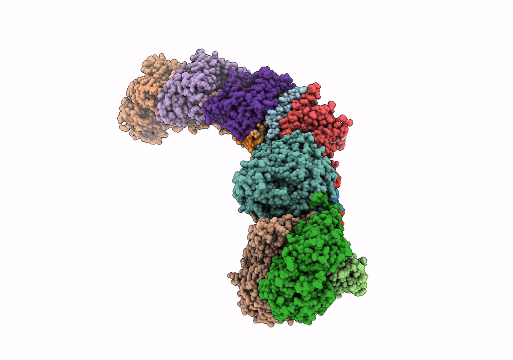 7P7K image