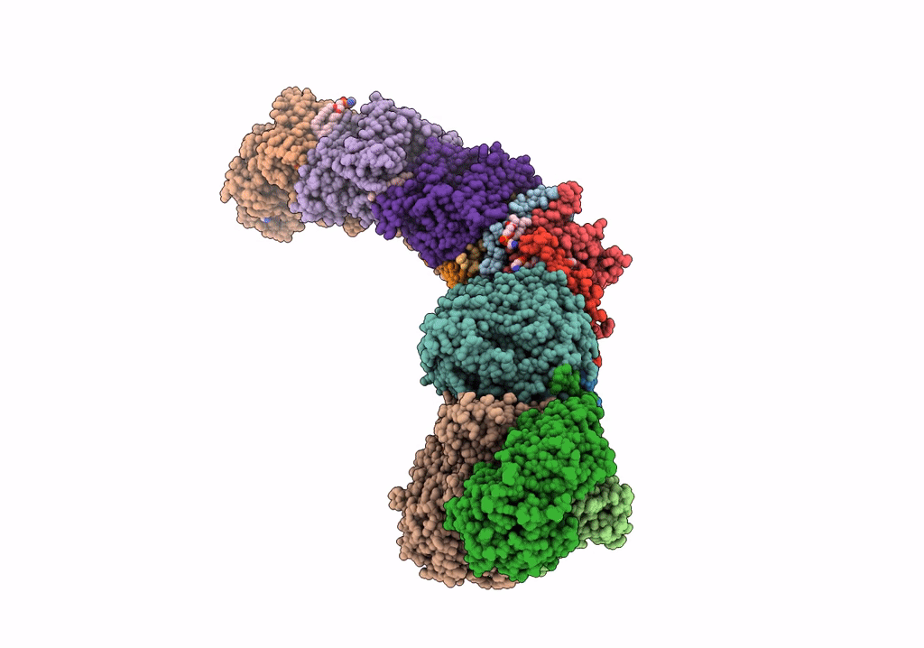 7P7M image
