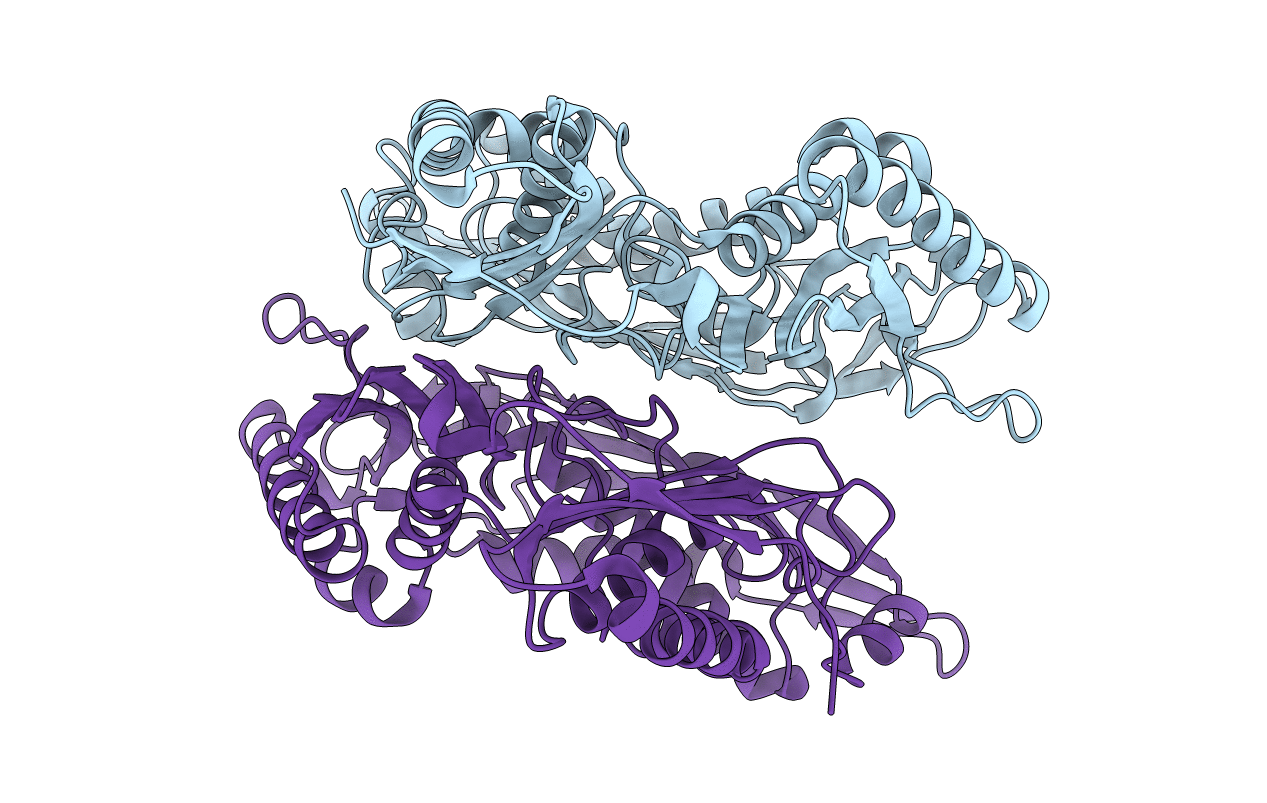 7P82 image