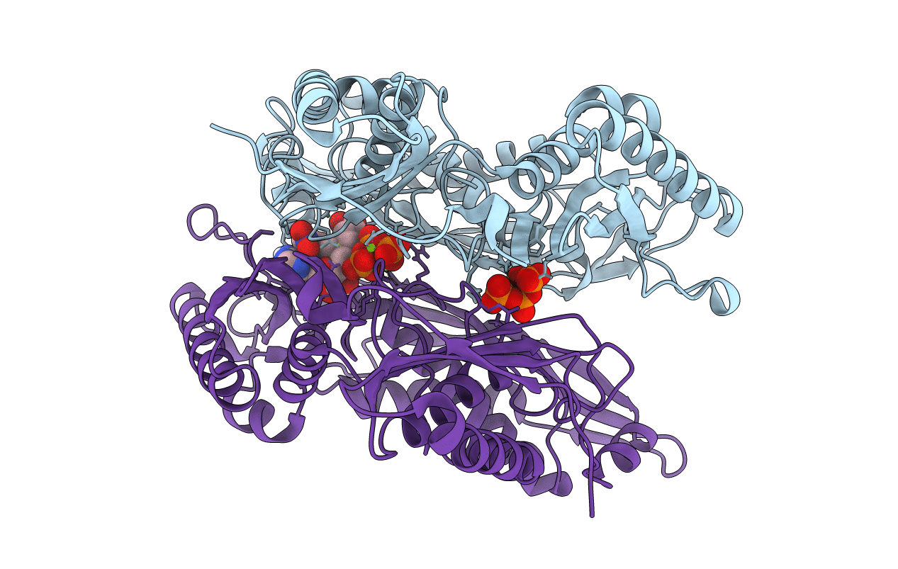 7P84 image