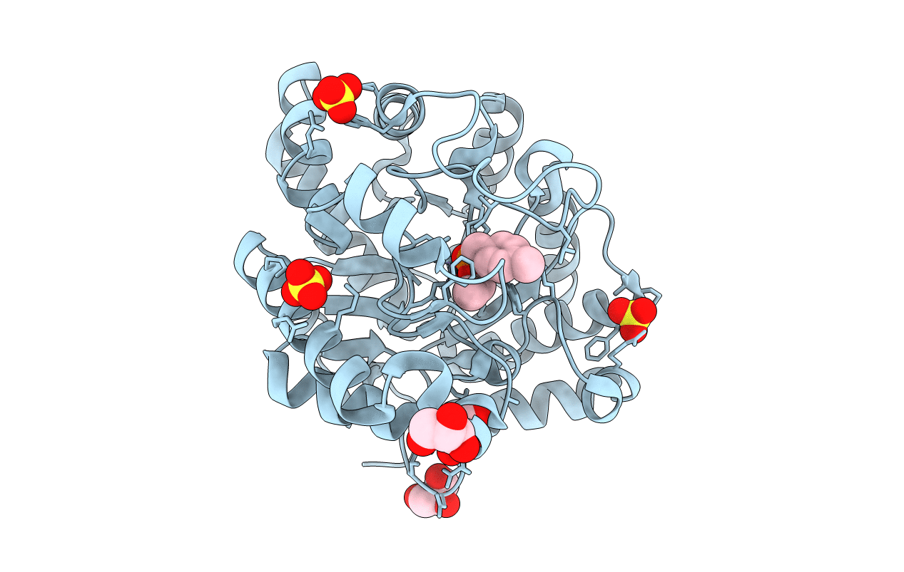 7P85 image