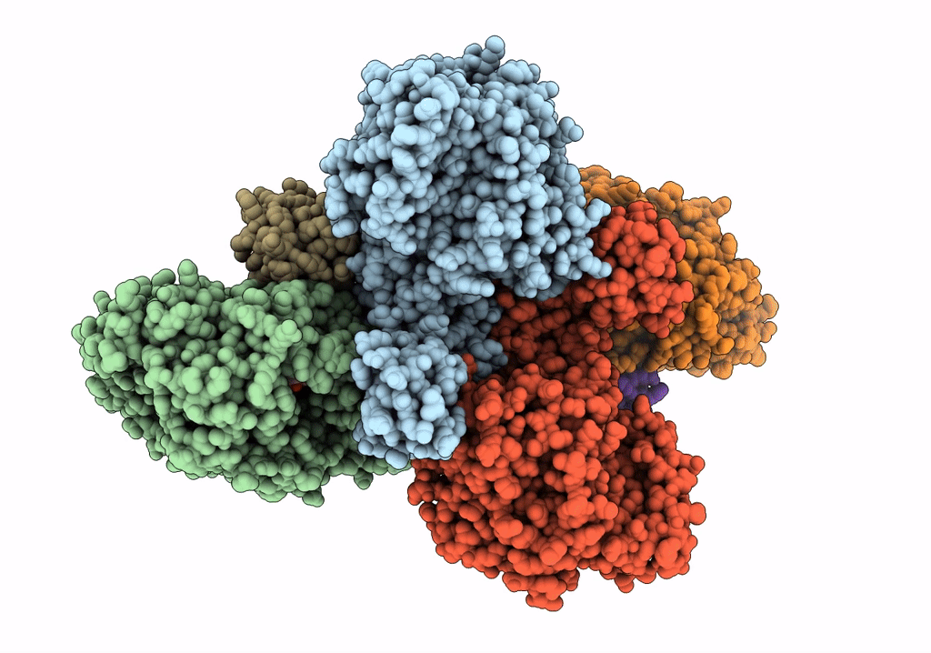 7P8N image