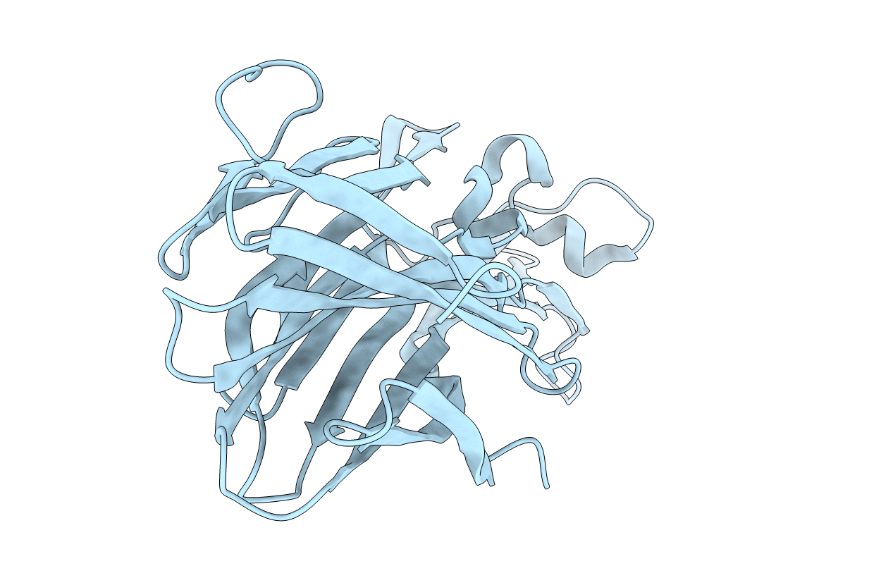 7P8T image