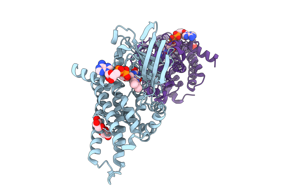 7P98 image