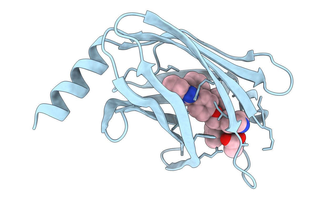 7PAE image