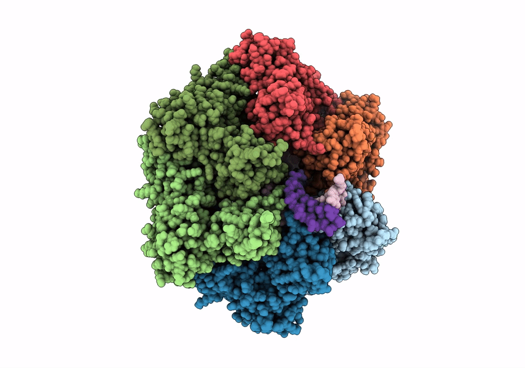 7PBQ image